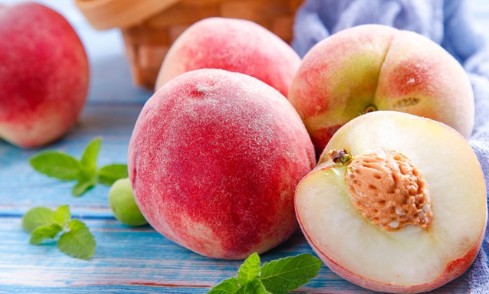 桃子的营养价值有哪些大只500注册?
