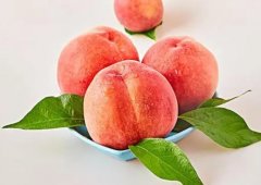 <b>你知道桃子的营养价值体现在哪些方面吗大只5</b>