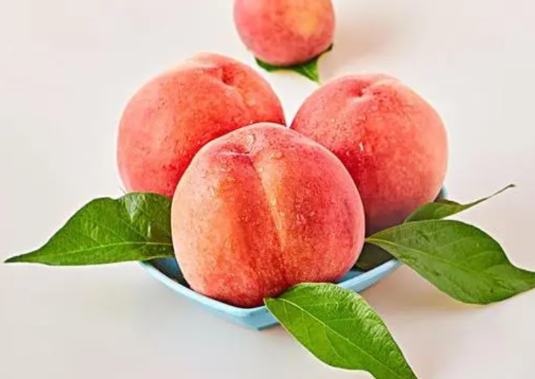 你知道桃子的营养价值体现在哪些方面吗大只500注册