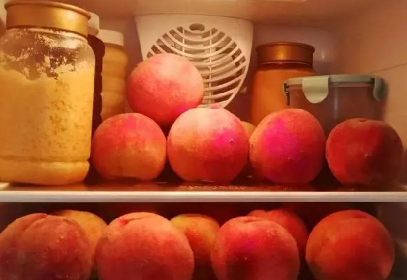 桃子能够放进冰箱里吗大只500注册